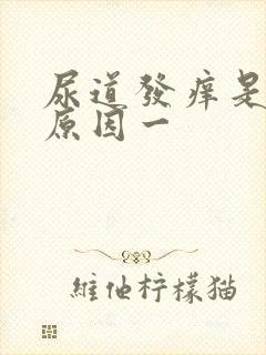 尿道发痒是什么原因一