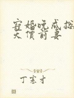 宠婚晚成总裁的天价前妻