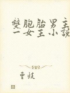 双胞胎男主共享一女主小说宠文