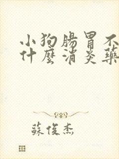 小狗肠胃不好吃什么消炎药