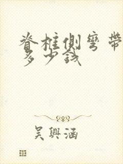 脊椎侧弯带支具多少钱