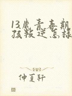 13岁青春期男孩叛逆怎样引导