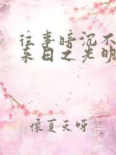 往事暗沉不可追来日之光明灿烂