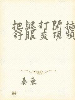 把腿打开插进去舒服爽视频