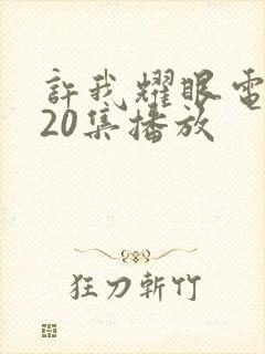 许我耀眼电视剧20集播放