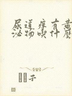 尿道痒有黄色分泌物吃什么药