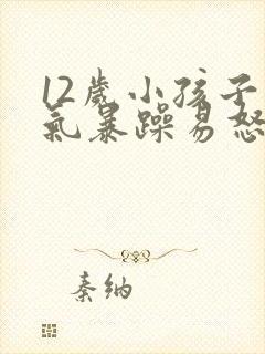 12岁小孩子脾气暴躁易怒怎么办