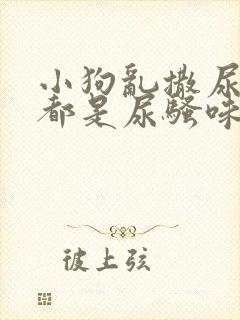 小狗乱撒尿房里都是尿骚味怎么办