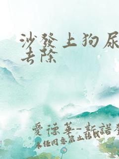 沙发上狗尿如何去除