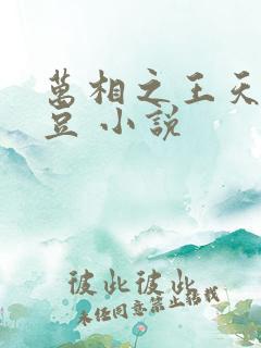 万相之王天蚕土豆 小说