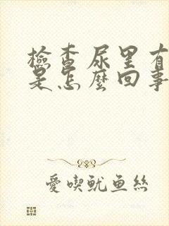 检查尿里有隐血是怎么回事