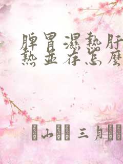 脾胃湿热肝胆湿热并存怎么治