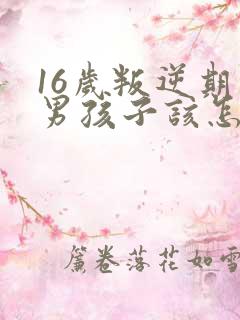 16岁叛逆期的男孩子该怎样去沟通教育