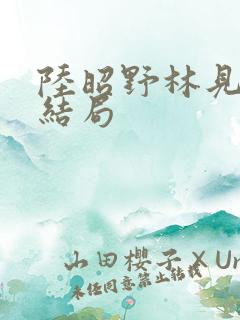 陆昭野林见疏大结局