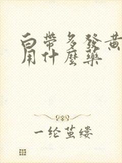 白带多发黄瘙痒用什么药