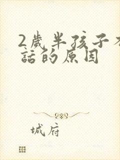 2岁半孩子不说话的原因