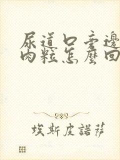 尿道口旁边有小肉粒怎么回事