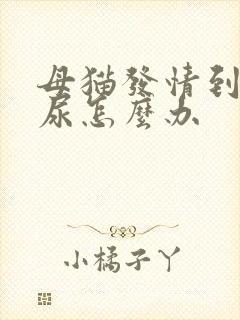 母猫发情到处乱尿怎么办