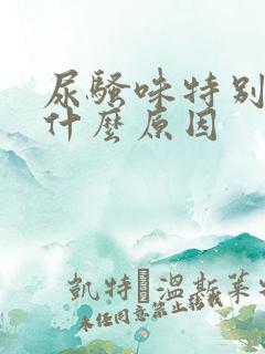 尿骚味特别重是什么原因