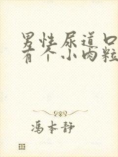 男性尿道口下方有个小肉粒