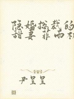 隐婚总裁的绯闻甜妻 菲雨初情