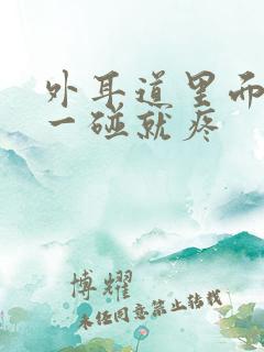 外耳道里面肿了一碰就疼