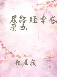 尿路经常感染怎么办