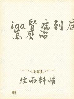 iga肾病到底怎么治