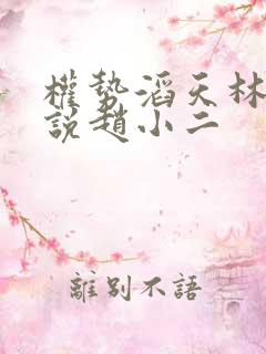 权势滔天林峰小说赵小二