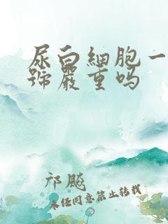 尿白细胞一个加号严重吗