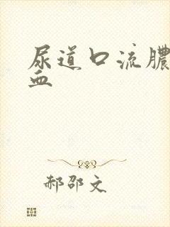 尿道口流脓带点血