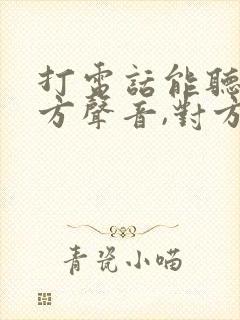 打电话能听见对方声音,对方听不见我的声音