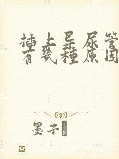 插上导尿管漏尿有几种原因