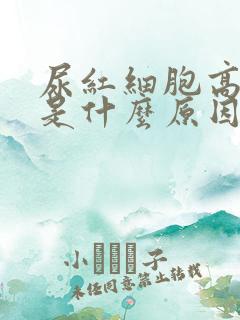 尿红细胞高尿频是什么原因