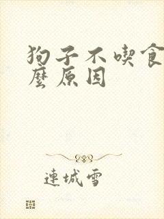 狗子不吃食是什么原因