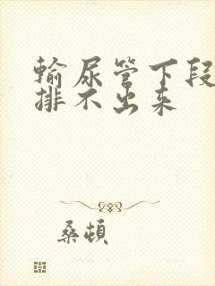 输尿管下段结石排不出来