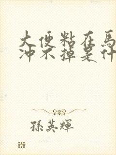 大便粘在马桶上冲不掉是什么原因