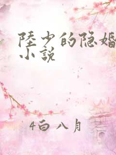 陆少的隐婚罪妻小说