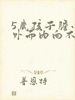 5岁孩子胆小在外面内向不爱说话