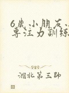 6岁小朋友小孩专注力训练