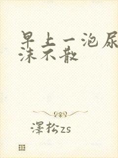 早上一泡尿有泡沫不散