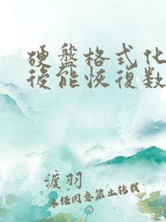 硬盘格式化分区后能恢复数据吗