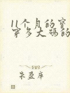 11个月的宝宝穿多大码的纸尿裤