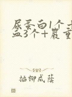尿蛋白1个十隐血3个+严重吗