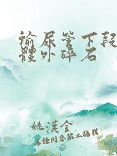 输尿管下段结石体外碎石