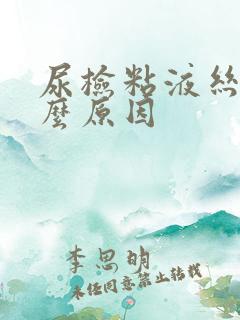 尿检粘液丝高什么原因