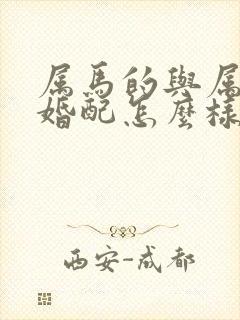 属马的与属龙的婚配怎么样