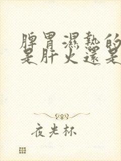 脾胃湿热的根源是肝火还是胃火