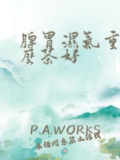 脾胃湿气重喝什么茶好