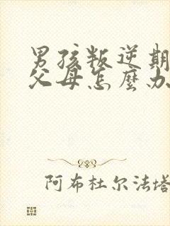 男孩叛逆期打骂父母怎么办